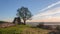 Essex Countryside Hadleigh Castle UK