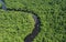 Establishing aerial photo of boat traveling down a river through the jungle in the Orinoco Delta, Venezuela, South America. Sunny