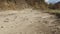 establishing shot on a dusty mountain road in autumn forest