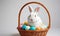 Ester bunny with Easter eggs on white background