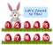 Ester rabbit count number