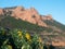 Esterel mountain group