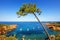 Esterel, tree, rocks beach coast and sea. Cote Azur, Provence, F