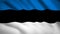 Estonia flag Motion video waving in wind. Flag Closeup 1080p HD  footage