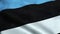 Estonia Flag Seamless Looping Waving Animation