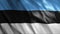 Estonia National Flag Video Animation