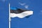 Estonian flag against blue sky.