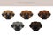 Estrela mountain dog clipart. Different poses, coat colors set