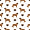 Estrela mountain dog seamless pattern. Different poses, coat colors set