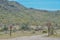 Estrella Mountain Competitive Track Sign, One Way and No Motorized Vehicles Sign in Estrella Mountain Regional Park, Goodyear, Mar