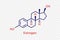 Estrogen chemical formula. Estrogen structural chemical formula isolated on transparent background.