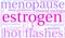 Estrogen Word Cloud