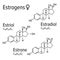 Estrogens female hormones vector chemical molecular formulas