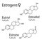 Estrogens female hormones vector chemical molecular formulas