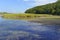 Estuary transition zone where fresh water meets salt water