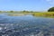 Estuary transition zone where fresh water meets salt water