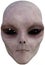 ET Space Alien Face Isolated