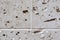 Etailed close up view on concrete wall textures with cracks and lots of stucture in high resolution