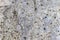 Etailed close up view on concrete wall textures with cracks and lots of stucture in high resolution