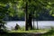 Etang d`or pond in Rambouillet forest