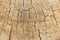 Etched & Cracked Natural Wooden Surface With Etched & Cracked Natural Wooden Surface With Destinctive Pattern Pattern