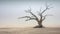 Eternal Solitude: A Minimalist Landscape Capturing the Grace of a Weathered Oak Tree