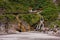 Eternal Springs Shrine Taroko Gorge