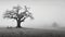 Eternal Tranquility: A Minimalist Landscape with a Weathered Oak Tree