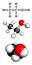 Ethanol (alcohol) molecule, chemical structure