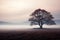 Ethereal beauty solitary tree rises from the mist in solitude