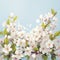 Ethereal bloom Spring branch adorned with white flowers against blue