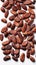 Ethereal Close-up of Cocoa Beans Against Crisp White Background with Left Copyspace