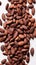 Ethereal Close-up of Cocoa Beans Against Crisp White Background with Left Copyspace