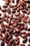 Ethereal Close-up of Cocoa Beans Against Crisp White Background with Left Copyspace