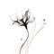 Ethereal Composition: Black And White Flower With Graceful Curves