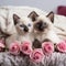 Ethereal Elegance: White Siamese Kittens Amidst Pink Roses