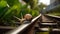 Ethereal Encounter: Closeup of a Snail on a Rail