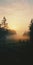 Ethereal Foggy Redwood Trees: A Photorealistic Landscape In Golden Hues