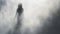 Ethereal Horror: Woman\\\'s Silhouette Emerging From Thick White Fog