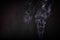 Ethereal Incense Smoke Dance on Dark Background