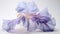 Ethereal Iris Flower: Translucent Beauty In Rococo Pastel Hues