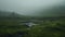 Ethereal Landscape: A Journey Through Foggy Norwegian Nature