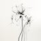 Ethereal Minimalism: Beautiful Black And White Flower Illustration