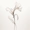 Ethereal Minimalism: Beautiful Flower Abstract Illustration