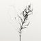 Ethereal Minimalism: Black And White Flower Branch Illustration