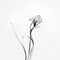 Ethereal Minimalism: Black And White Flower Illustration