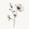 Ethereal Minimalism: Delicate Line Drawings Of Hibiscus Flowers