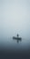 Ethereal Minimalism: A Mysterious Encounter In The Fog
