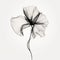 Ethereal Minimalism: Translucent Layers Of A Gray Flower With Black Veins