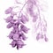 Ethereal Monochromatic Graphic Design: 3d Wisteria X-ray Illustration